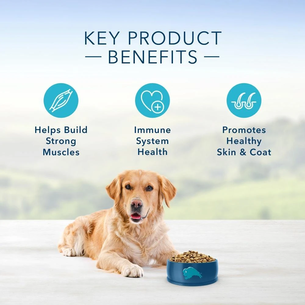 Blue Buffalo Life Protection Natural Fish & Brown Rice Recipe Adult Dry Dog Food 5 Blue Buffalo Life Protection Natural Fish & Brown Rice Recipe Adult Dry Dog Food - Image 5