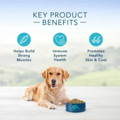 Blue Buffalo Life Protection Natural Lamb & Brown Rice Recipe Adult Dry Dog Food -Blue Boo Pet Care Shop 11519 1556046214