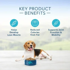 Blue Buffalo Life Protection Healthy Weight Natural Chicken & Brown Rice Recipe Adult Dry Dog Food -Blue Boo Pet Care Shop 11520 1556046756