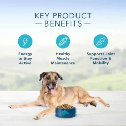 Blue Buffalo Life Protection Natural Chicken & Brown Rice Recipe Senior Dry Dog Food -Blue Boo Pet Care Shop 11521 1556049497