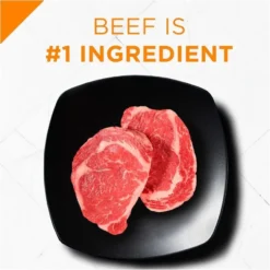 Purina Pro Plan Savor Adult Shredded Blend Beef & Rice Formula Dry Dog Food -Blue Boo Pet Care Shop 16072 1555606901