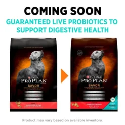 Purina Pro Plan Savor Adult Shredded Blend Beef & Rice Formula Dry Dog Food -Blue Boo Pet Care Shop 16072 1555606914