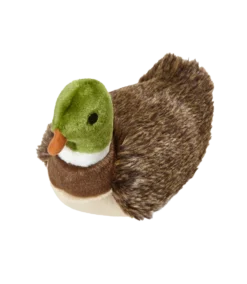 Fluff & Tuff Morley Mallard 7 Fluff & Tuff Morley Mallard -Blue Boo Pet Care Shop 2018 0619 FluffTuff Duck 012 45047 1