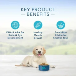 Blue Buffalo Life Protection Natural Chicken & Brown Rice Recipe Puppy Dry Dog Food -Blue Boo Pet Care Shop 29497 1556048692