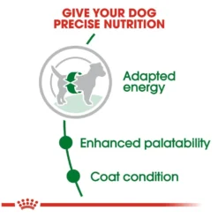 Royal Canin Size Health Nutrition Small Breed Adult Dry Dog Food -Blue Boo Pet Care Shop 31716 1543354057