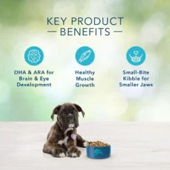 Blue Buffalo Freedom Grain Free Chicken Recipe Puppy Dry Dog Food -Blue Boo Pet Care Shop 31836 1556041484