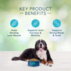 Blue Buffalo Freedom Grain Free Chicken Recipe Large Breed Adult Dry Dog Food -Blue Boo Pet Care Shop 31842 1556040700