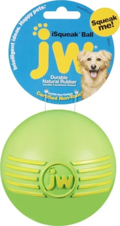 JW Pet ISqueak Ball Dog Toy