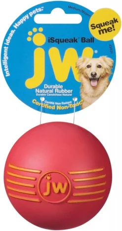 JW Pet ISqueak Ball Dog Toy 5 JW Pet ISqueak Ball Dog Toy -Blue Boo Pet Care Shop 33986 1450214529