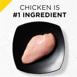 Purina Pro Plan Bright Mind Adult 7plus Large Breed Formula Dry Dog Food -Blue Boo Pet Care Shop 37157 1555702695