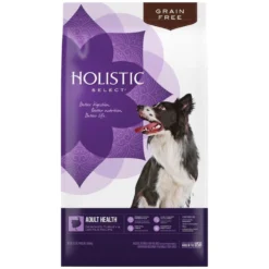 Holistic Select Natural Grain Free Adult Health Deboned Turkey And Lentils Dry Dog Food