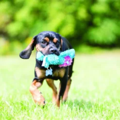 KONG King Lion Cozie Plush Dog Toy -Blue Boo Pet Care Shop 40133 1568323168