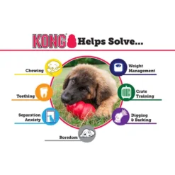 KONG Senior Kong Dog Toy -Blue Boo Pet Care Shop 41120 1568306238