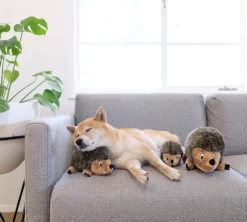 Outward Hound HedgehogZ Plush Dog Toy 6 Outward Hound HedgehogZ Plush Dog Toy -Blue Boo Pet Care Shop 41818 1519928183