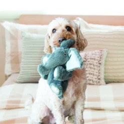KONG Comfort Kiddos Elephant Plush Dog Toy 5 KONG Comfort Kiddos Elephant Plush Dog Toy -Blue Boo Pet Care Shop 42120 1568300501