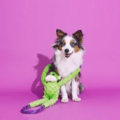 ZippyPaws Monkey RopeTugz Plush Dog Toy -Blue Boo Pet Care Shop 42307 1550001725