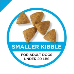 Purina Pro Plan Focus Chicken & Rice Formula Adult Small & Toy Breed Dry Dog Food -Blue Boo Pet Care Shop 43546 1570135171