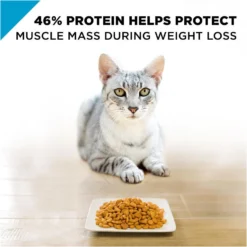 Purina Pro Plan Focus Weight Management Chicken & Rice Formula Adult Dry Cat Food -Blue Boo Pet Care Shop 43548 1570133863
