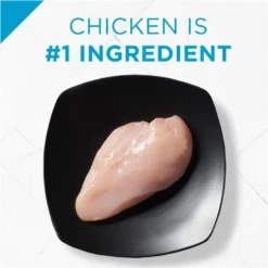 Purina Pro Plan Focus Weight Management Chicken & Rice Formula Adult Dry Cat Food -Blue Boo Pet Care Shop 43548 1570133873