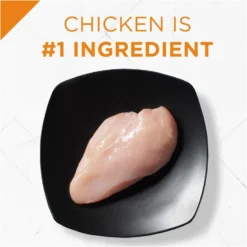 Purina Pro Plan Savor Shredded Chicken & Rice Formula Puppy Dry Dog Food -Blue Boo Pet Care Shop 43554 1570201435