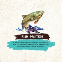 Inception Fish Recipe Dry Dog Food -Blue Boo Pet Care Shop 43888 1576790529
