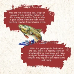 Inception Fish Recipe Dry Dog Food -Blue Boo Pet Care Shop 43888 1576790542