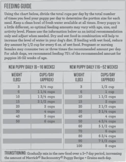 Merrick Backcountry Raw Infused With Healthy Grains Puppy Recipe Dry Dog Food -Blue Boo Pet Care Shop 44069 1595875113