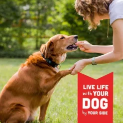 Cloud Star Wag More Bark Less Jerky: Duck & Apple Dog Treats -Blue Boo Pet Care Shop 693804191137 PT09 1 650x650 1