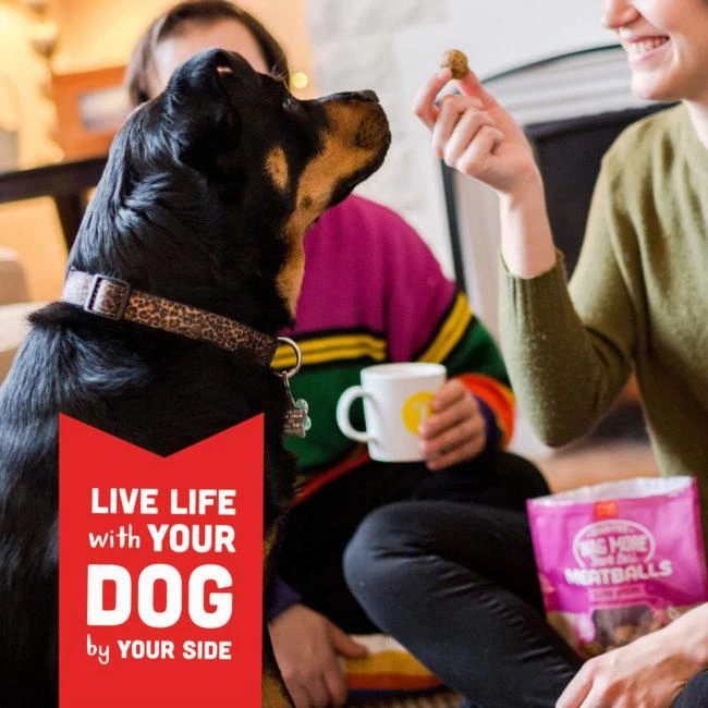 Cloud Star Wag More Bark Less Meatballs: Lamb Dog Treats 9 Cloud Star Wag More Bark Less Meatballs: Lamb Dog Treats - Image 9