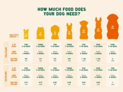 A Pup Above Chicka Chicka Bow Wow Dog Food -Blue Boo Pet Care Shop Food Quantiy chart min 720x 76264973 8aeb 439b a091 f9d6588980ba