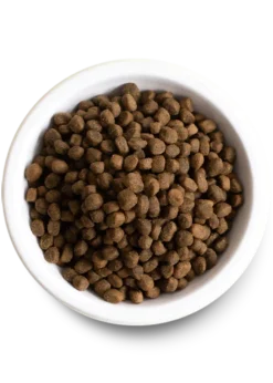 Open Farm Catch-of-the-Season Whitefish & Ancient Grains Dry Dog Food -Blue Boo Pet Care Shop PDP AGDog WHIFISH 02 Bowl 548x768 crop center 93eb7edb 3554 4091 83c2 f9260f1c9af4