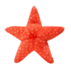 Fluff & Tuff Ziggy Starfish Toy
