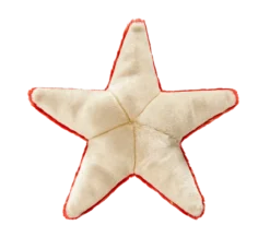 Fluff & Tuff Ziggy Starfish Toy -Blue Boo Pet Care Shop Starfish 015 88314.1574438385