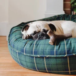 Benebone Maplestick -Blue Boo Pet Care Shop benebone honeyidressedthepug stick maple small digitalrights 02