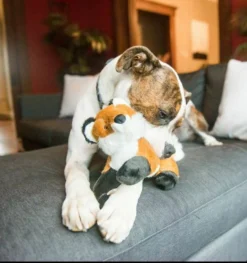 Fluff And Tuff Hendrix Fox -Blue Boo Pet Care Shop edited boxer fox 71412