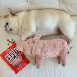 Stella & Chewy's Crav'n Bac'n Bites Bacon & Pork Recipe -Blue Boo Pet Care Shop ev9vhaj4un7ft6sletp2