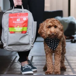 Stella & Chewy's Freeze-Dried Raw Dinner Patties For Dogs - Duck Duck Goose Recipe -Blue Boo Pet Care Shop k3xxr3aa23cyebonnwxt