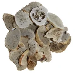 Icelandic+ Lamb Marrow Chips Dog Treat -Blue Boo Pet Care Shop marrow chips large a93c193a b1d6 46ab 8627 21633cc8531b