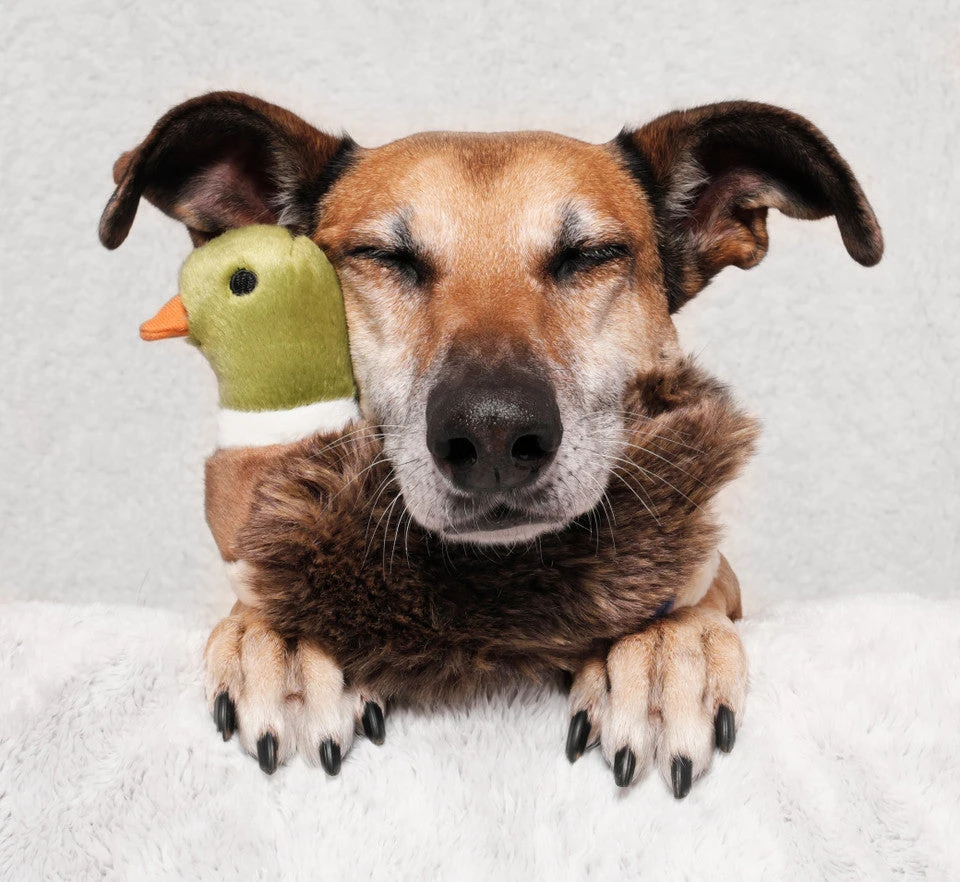 Fluff & Tuff Morley Mallard 3 Fluff & Tuff Morley Mallard - Image 3