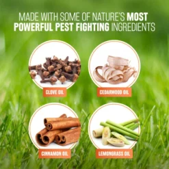 TropiClean Natural Flea & Tick Maximum Strength Shampoo For Dogs -Blue Boo Pet Care Shop pvmuamw6vx2kiln1gahy 9ee34f43 4c62 4ed3 b42b b1104002da2d