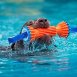 Petmate Chuckit! Rugged Bumper -Blue Boo Pet Care Shop unnamed 021e7b30 567a 4907 92a2 c021d18f1895