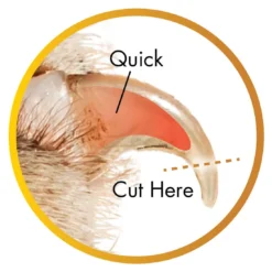 Coastal Pet Products Safari Guillotine Dog Nail Trimmer -Blue Boo Pet Care Shop voppe0lzldywxwftugk0