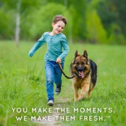 TropiClean Natural Flea & Tick Maximum Strength Shampoo For Dogs -Blue Boo Pet Care Shop wrsyshxpninzxyr9tmzy 56d1c19d 5c3c 4898 bf95 31245b49a59b